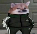 The Doge Kingdom of dogeness