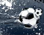 Soccer_ fans