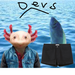 Dev Questions