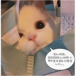 쥬의 친목 그룹
