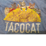 🌮 tacocat 🌮