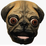 PUG FAN GROUP :) :]