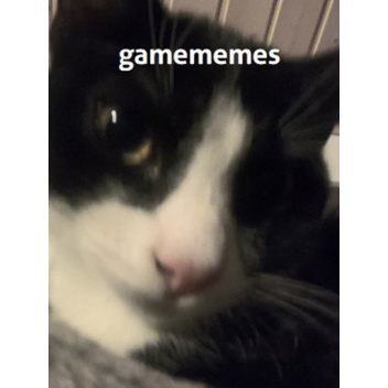 [OBBY!] gamememes' HOUSE GAME (UPDATE 2)