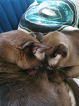 Maria und klara BFF
