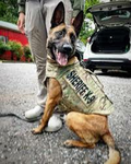 GSP-PD GROUP