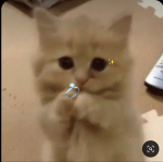안녕하시와요