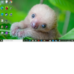 sammy the sloth