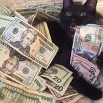 rich dhc