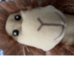 monkeys0518