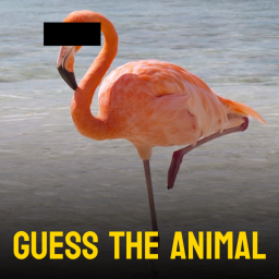 Guess the Animal