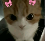Nilaten