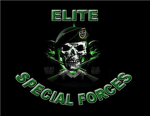 The Elite Special Forces