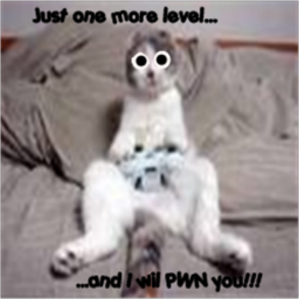 Funny cat Roblox decal