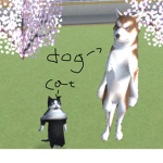 cat and dog food lol