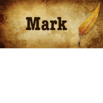 Mark_Drone_Fan