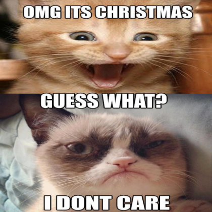 grumpy cat Roblox decal