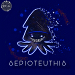 Sepioteuthis Squad