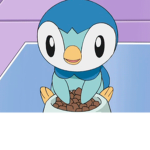 Piplup’s Pokémon!