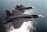 the w.a.r force