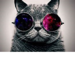cool! friends
