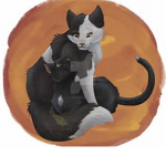 Warrior Cat Fans Unite