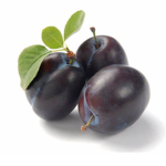 The Dumb Plums