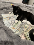 GETTTING R1ICH