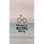 Harry Potter's fans!