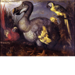 DODO FAN GROUP