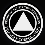 Triangle Intelligence Company