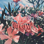 •Charlotte’s Croud•