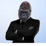Monkey I.N.K.
