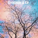 Creations & Co