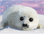 super seals
