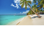 Tropical_gamers