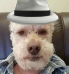 DASQUELS HOUSE Group Thumbnail