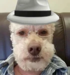 DASQUELS HOUSE Group Thumbnail