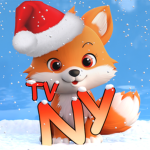 NYTV UGC