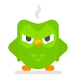 DUOLINGO ARMY…..