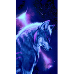 The XOX Wolf Pack