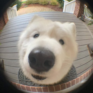 ------