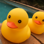 rubber duckie clan :P