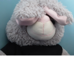 Hamster_Group