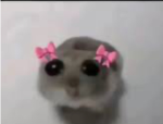 RAt w/ ribbon