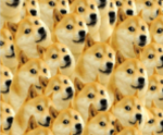 doge for doge community