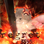 メ regret
