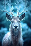 Frozen Style