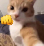 1！5！