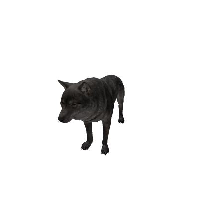 Npc Wolf