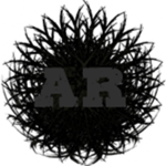 Anarchy's Rebellion